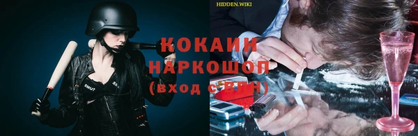 apvp Елизово