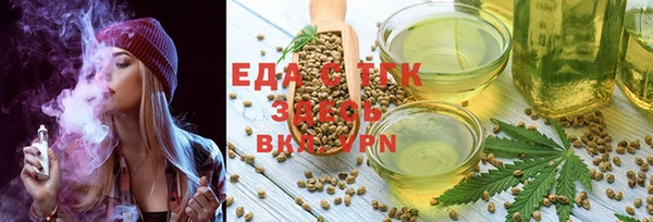спиды Ельня