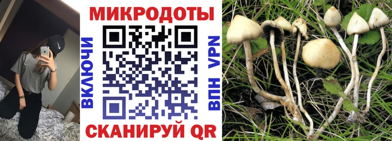 Галлюциногенные грибы Cubensis  blacksprut tor  Валдай 